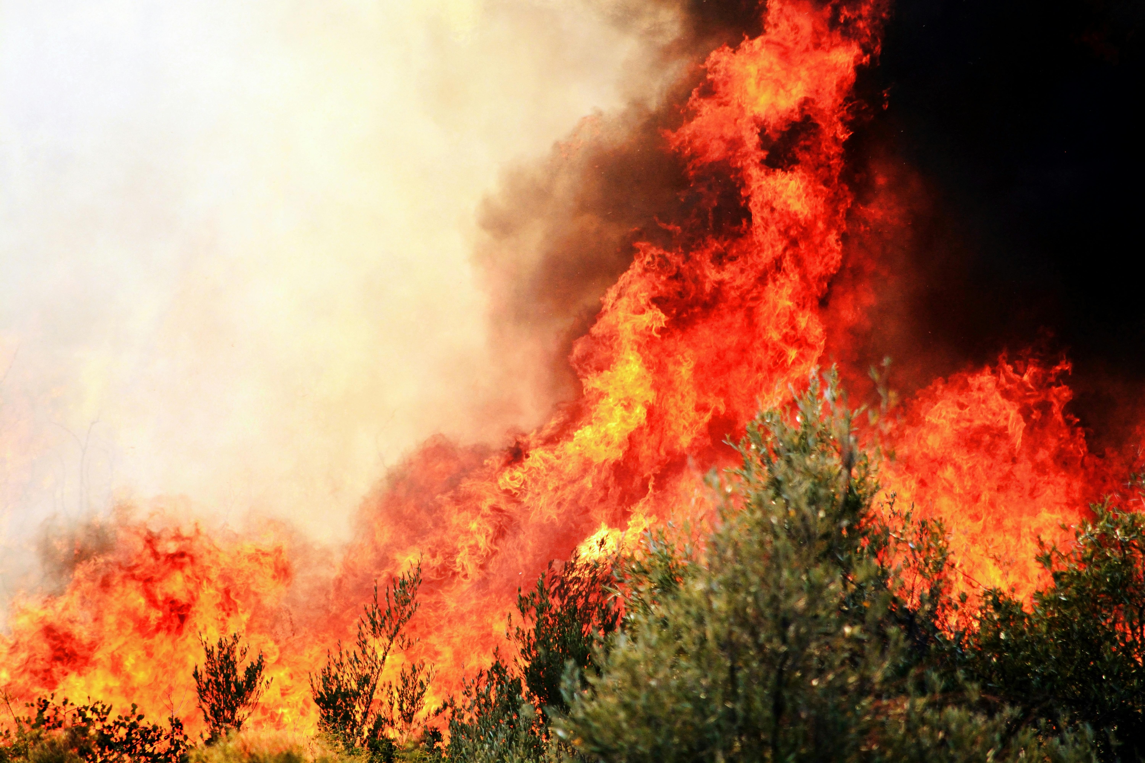 Image of a field burning from a wildfire